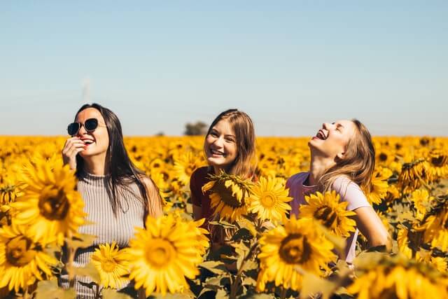Drei Jugendliche Mädchen posieren in einem Sonnenblumenfeld